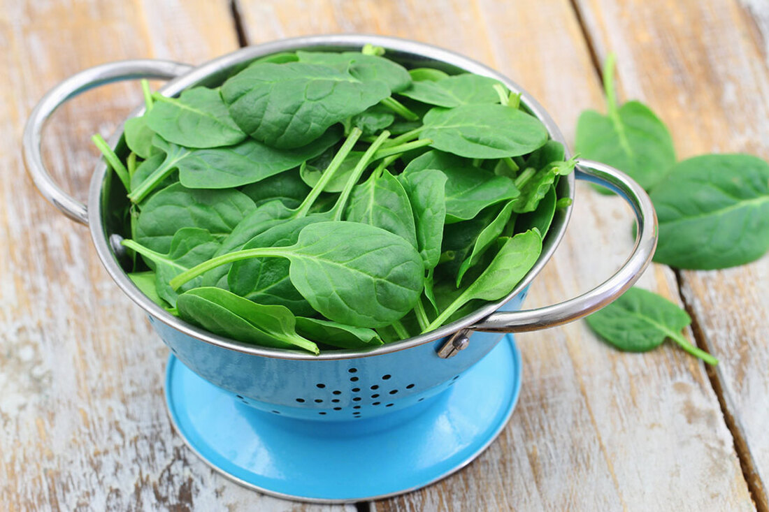Fresh spinach for Spinach and Feta Pie